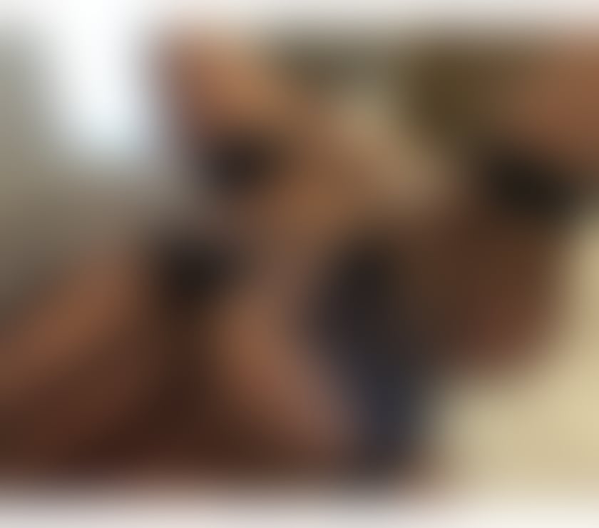 Escorts Merseyside Liverpool - Photos for English Jessica